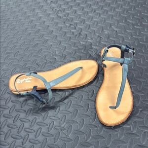 Seychelles Blue Thong Sandals